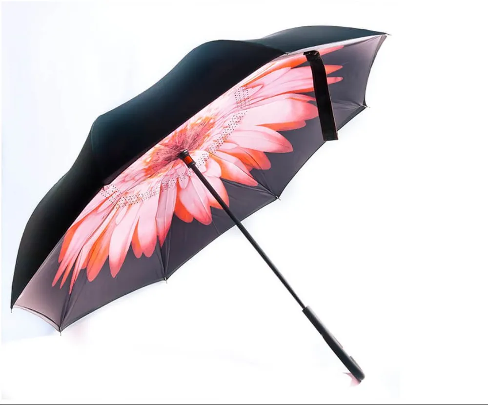 Зонт в раскрытом виде